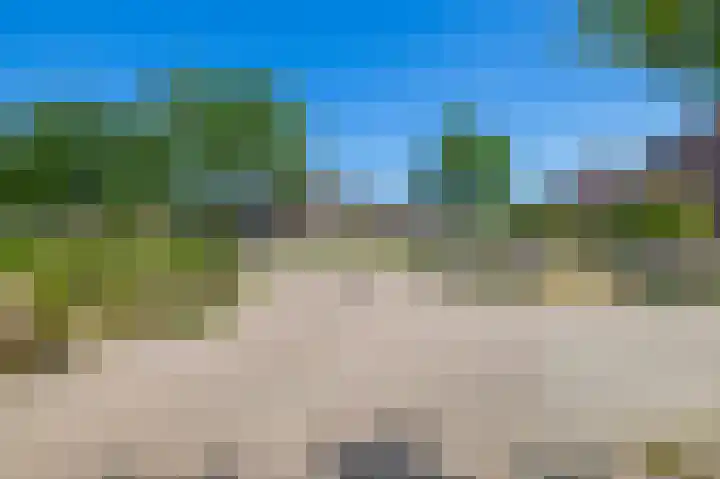 Fazantweg 5 Havelte thumbnail 38