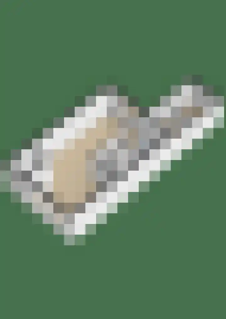 Fazantweg 5 Havelte thumbnail 41