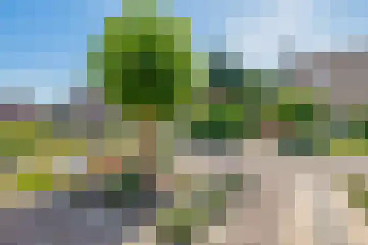 Fazantweg 5 Havelte thumbnail 6