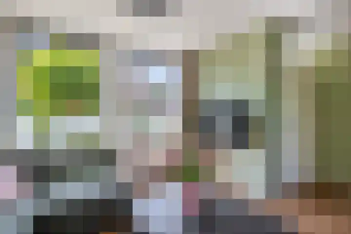 Fazantweg 5 Havelte thumbnail 8