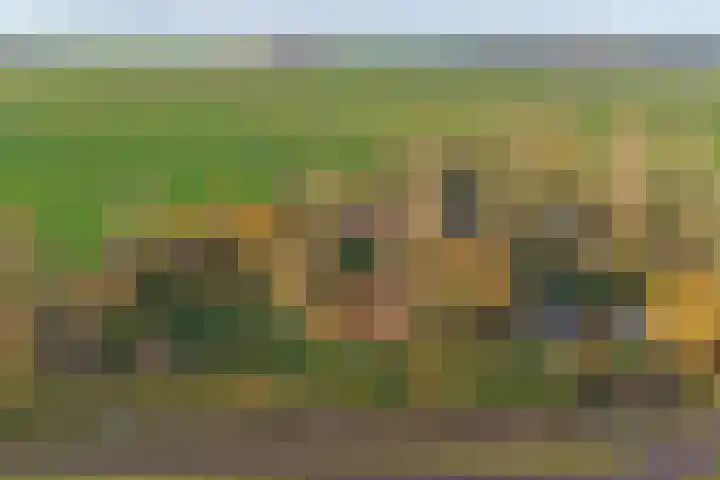 Feandyk 2 in It Heidenskip