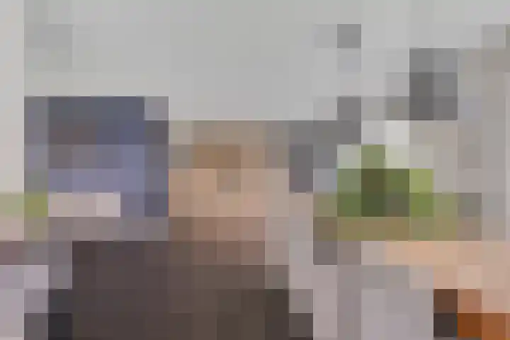 Feantersdyk 2 Earnewâld thumbnail 13