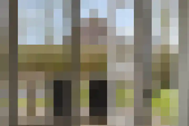 Feantersdyk 2 Earnewâld thumbnail 14
