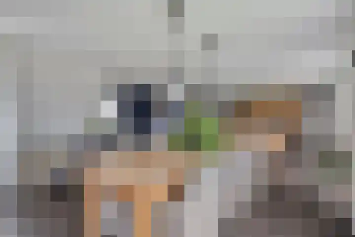 Feantersdyk 2 Earnewâld thumbnail 15