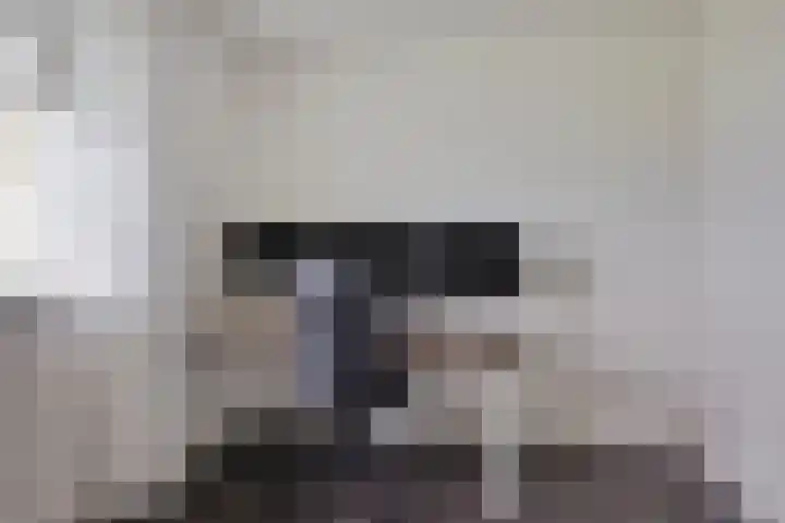 Feantersdyk 2 Earnewâld thumbnail 24