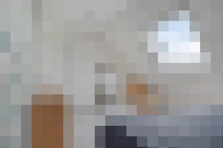 Feantersdyk 2 Earnewâld thumbnail 28