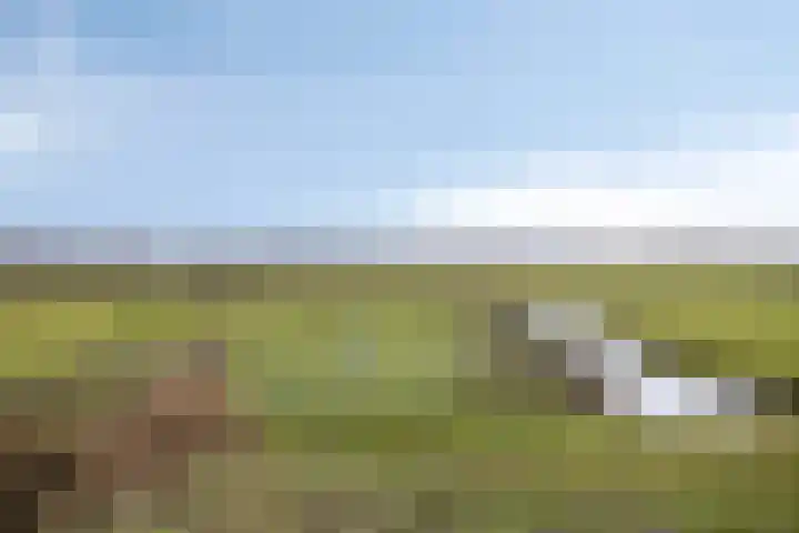 Feantersdyk 2 Earnewâld thumbnail 46