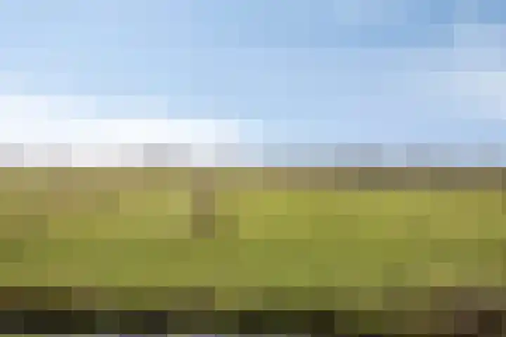 Feantersdyk 2 Earnewâld thumbnail 47