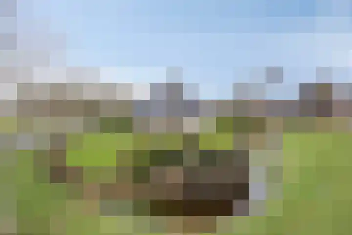 Feantersdyk 2 Earnewâld thumbnail 5