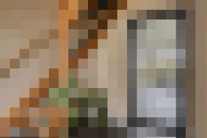 Feantersdyk 2 Earnewâld thumbnail 8