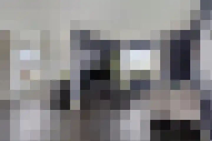 Feantersdyk 2 Earnewâld thumbnail 9