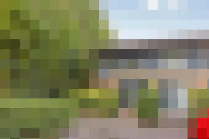 Februaristraat 1 Almere thumbnail 5