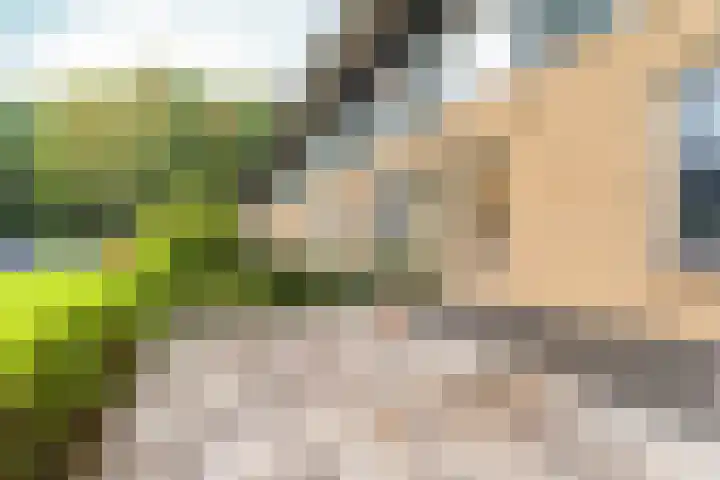 Februaristraat 11 Almere thumbnail 23