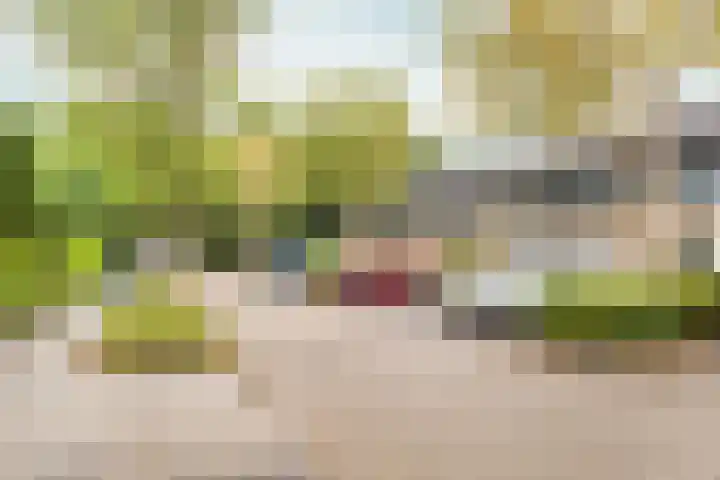 Februaristraat 11 Almere thumbnail 7