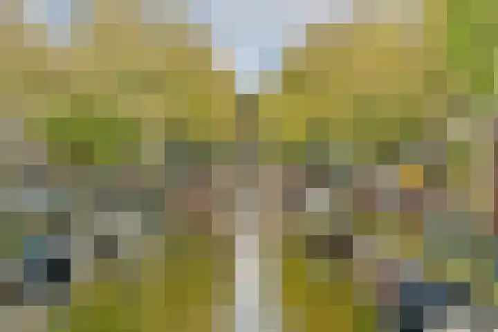 Logo van Feenstra ERA Makelaars