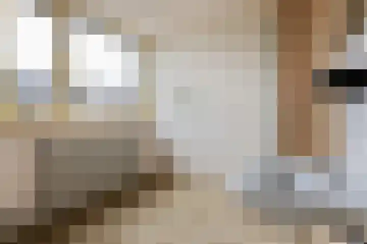 Feerwerdpad 4 Arnhem thumbnail 15