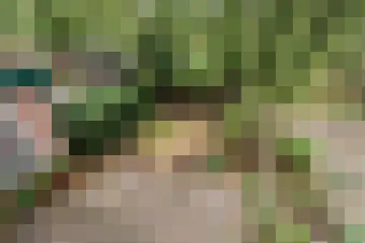 Feerwerdpad 4 Arnhem thumbnail 21