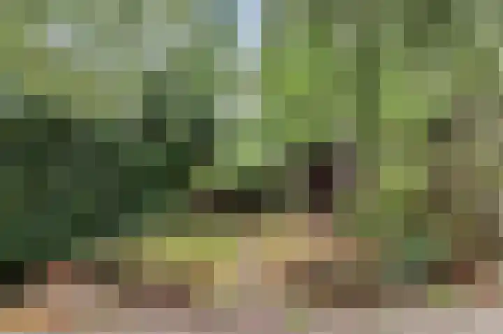Feerwerdpad 4 Arnhem thumbnail 22