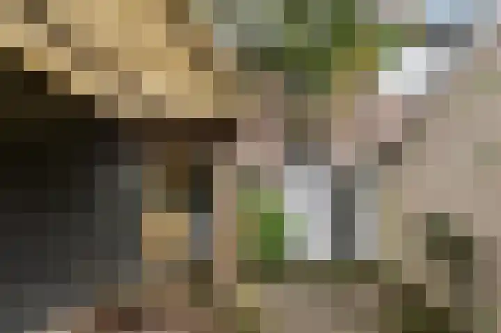 Feerwerdpad 4 Arnhem thumbnail 23