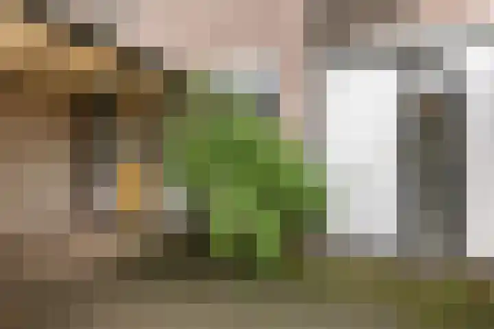 Feerwerdpad 4 Arnhem thumbnail 24