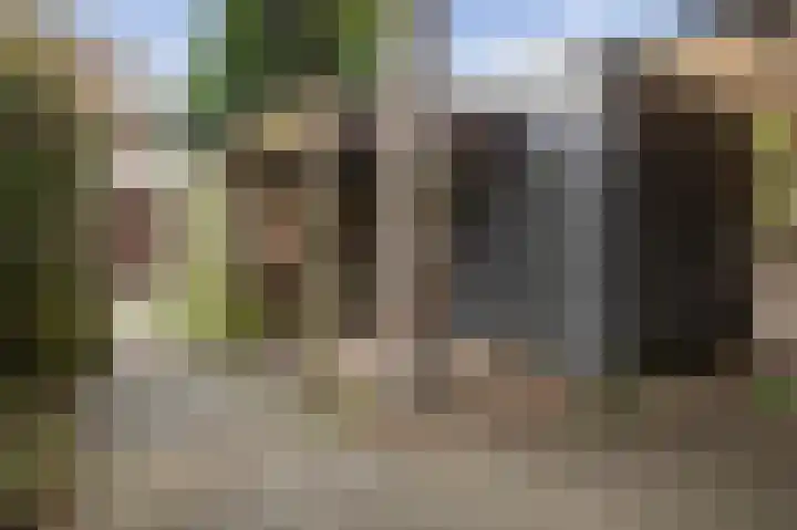 Feerwerdpad 4 Arnhem thumbnail 26