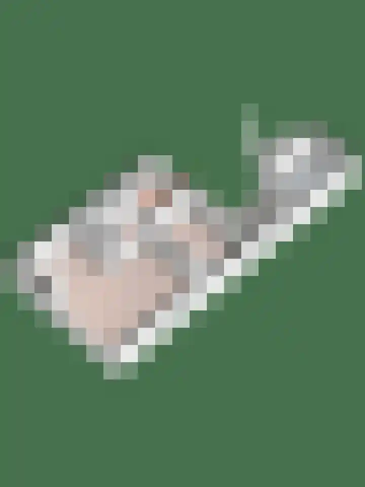 Feerwerdpad 4 Arnhem thumbnail 32