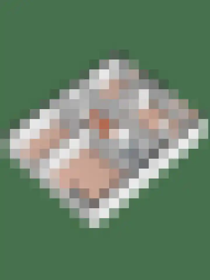 Feerwerdpad 4 Arnhem thumbnail 33