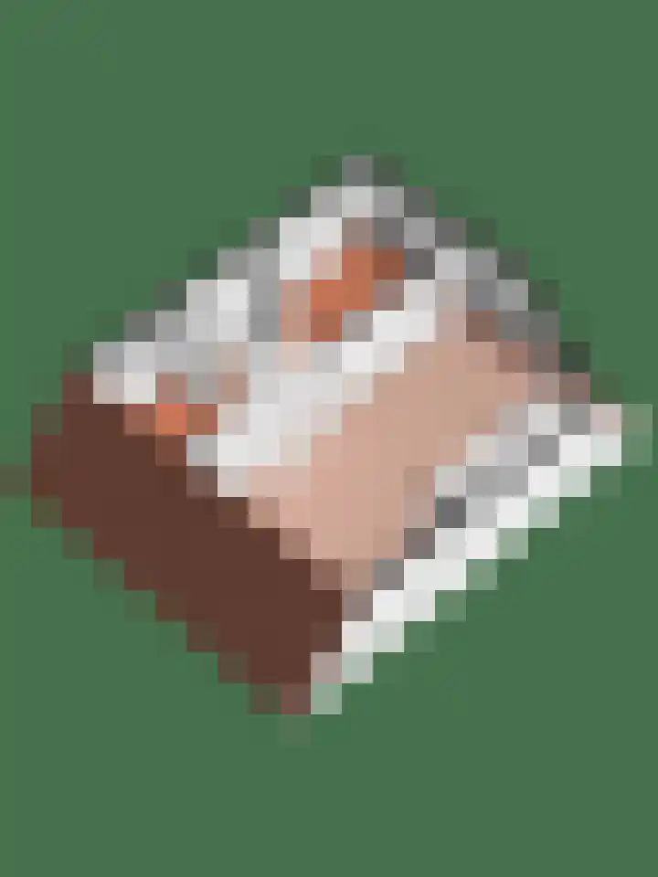 Feerwerdpad 4 Arnhem thumbnail 34