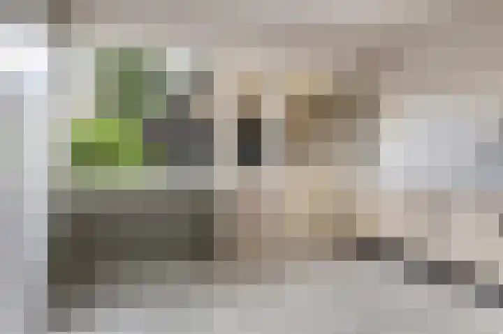 Feerwerdpad 4 Arnhem thumbnail 5