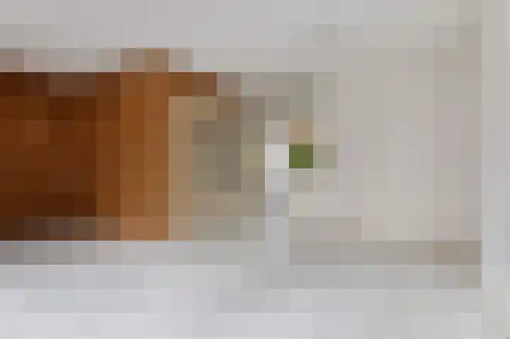 Feerwerdpad 4 Arnhem thumbnail 7