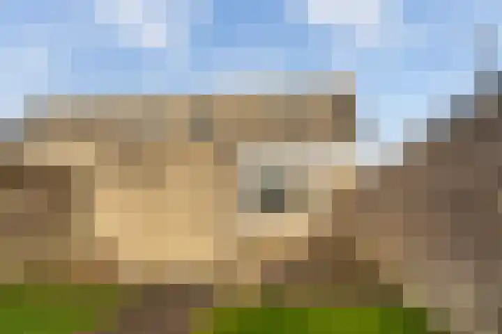Felixwei 70 Stiens thumbnail 37