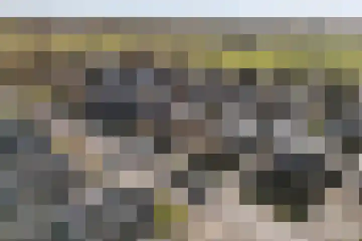 Felixwei 70 Stiens thumbnail 58