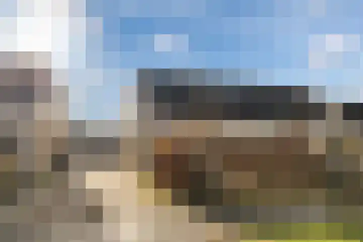 Felixwei 70 Stiens thumbnail 6