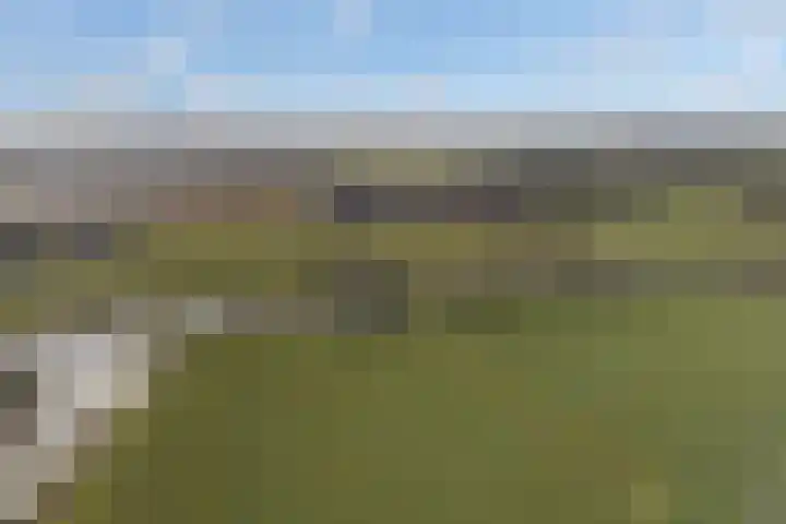 Felixwei 70 Stiens thumbnail 61