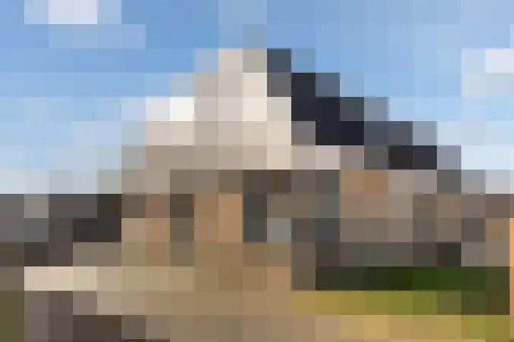 Felixwei 70 Stiens thumbnail 9