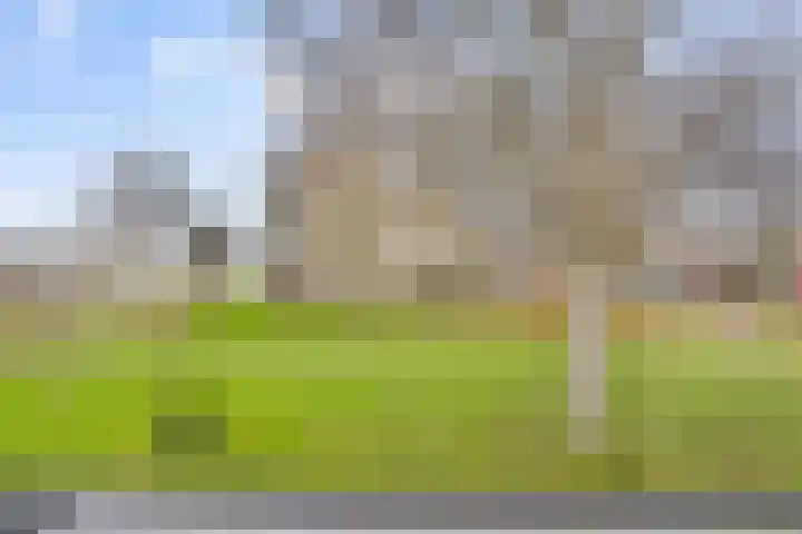 Fellinilaan 262 Almere thumbnail 25
