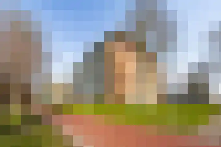 Fellinilaan 262 Almere thumbnail 38