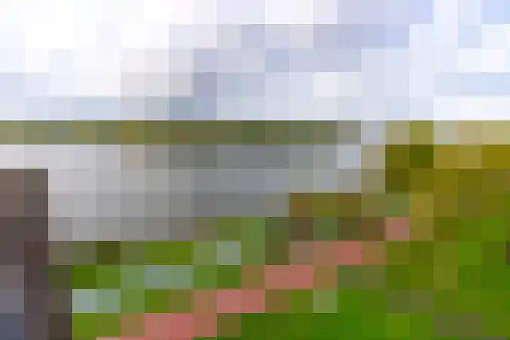 Fellinilaan 332 Almere thumbnail 40
