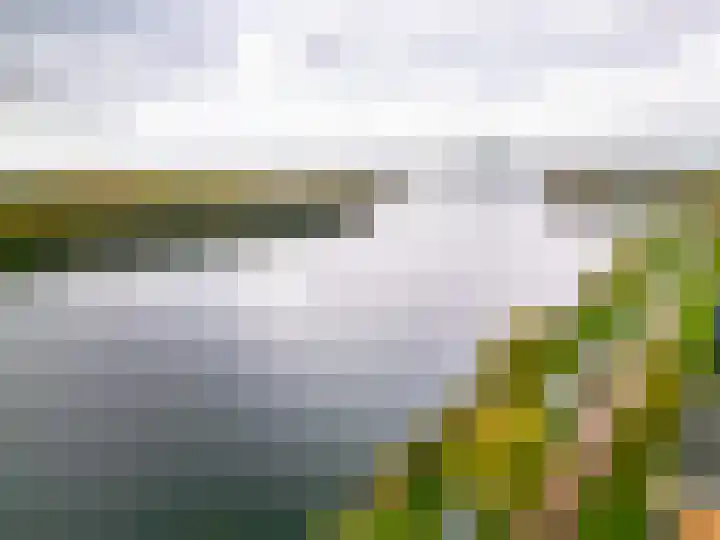 Fellinilaan 332 Almere thumbnail 47