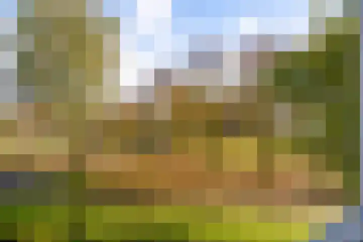 Fellinilaan 332 Almere thumbnail 52