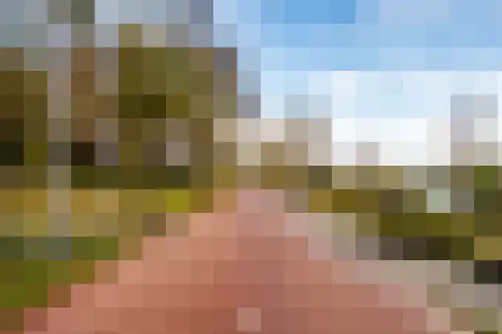 Fellinilaan 332 Almere thumbnail 53