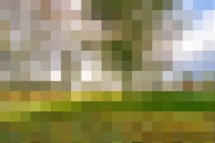 Fellinilaan 332 Almere thumbnail 56