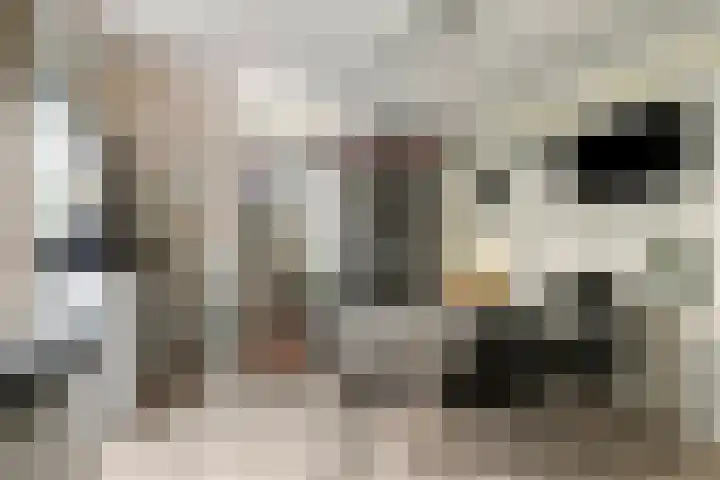 Fellinilaan 75 Almere thumbnail 16