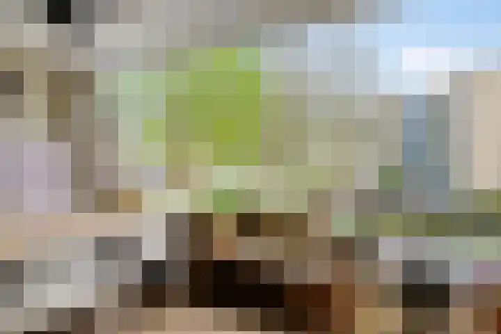 Fellinilaan 75 Almere thumbnail 27