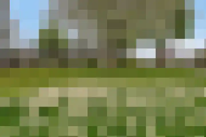Fellinilaan 75 Almere thumbnail 49