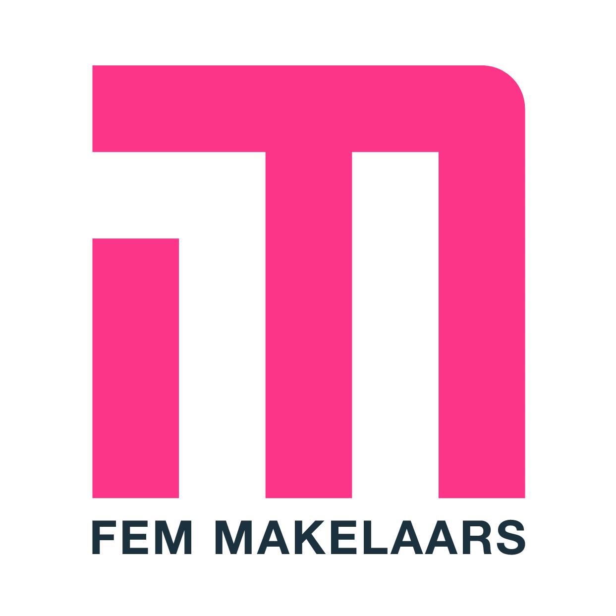 Logo van FEM Makelaars