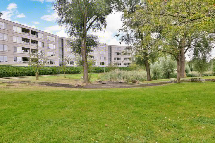 Femina Mullerstraat 283 in Hoofddorp foto