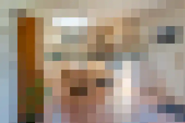 Ferdinand Bollaan 13 Baarn thumbnail 11