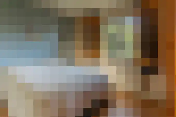 Ferdinand Bollaan 13 Baarn thumbnail 15