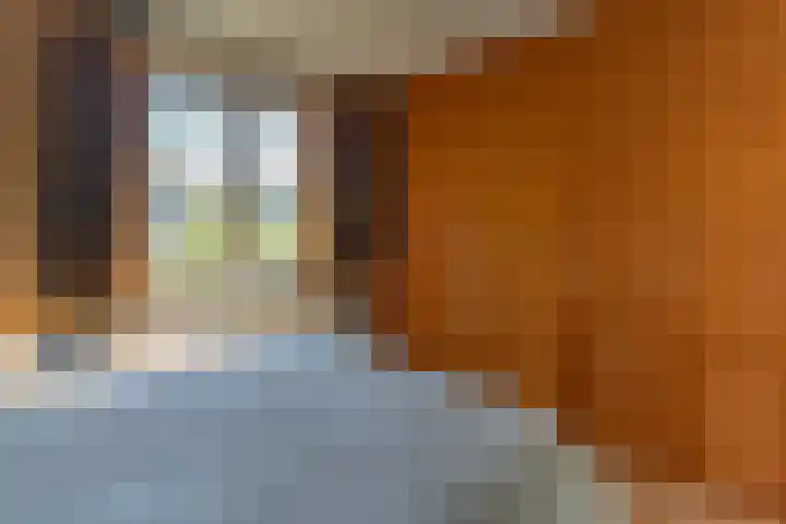 Ferdinand Bollaan 13 Baarn thumbnail 16